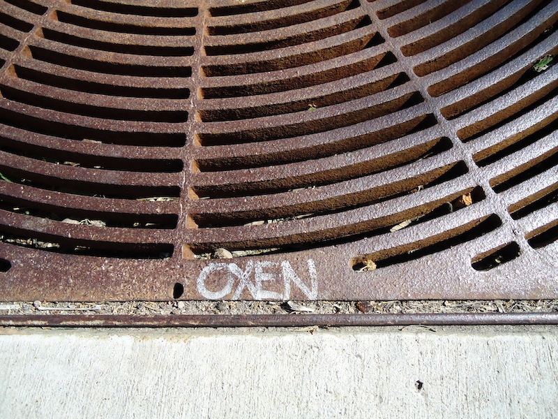 Sidewalk grate with the word OXEN written in white.