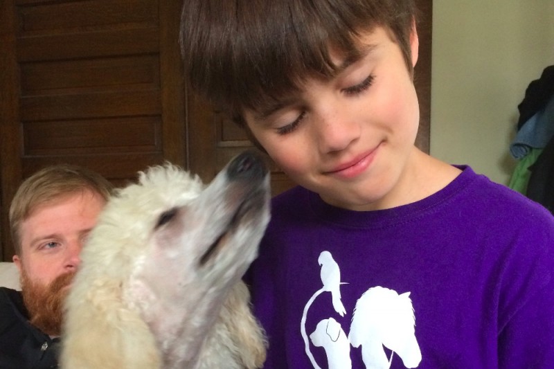 A white, fluffy poodle dog licks a young boy's ear. The boy is wearing a purple shirt with a bird, dog, and horse silhouette on it in white. Behind them, a man watches on happily. The dog is Appa, and the boy is Noah! 